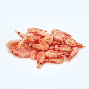 Cold Water Prawn