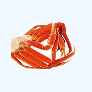 Snow Crab