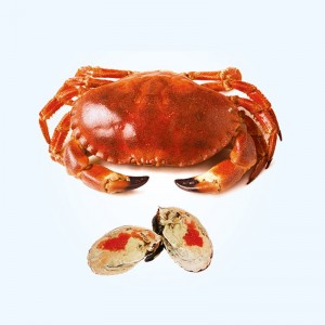 Brown Crab