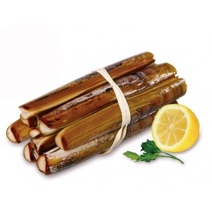 Ireland Razor Clam