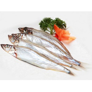 Capelin