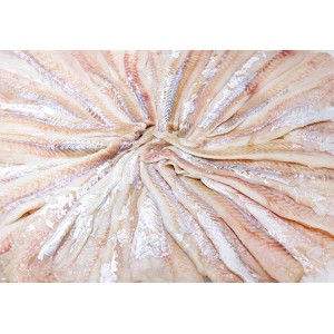 Alaska Pollock Fillet