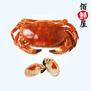 爱尔兰黄金蟹