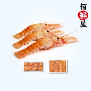爱尔兰海螯虾