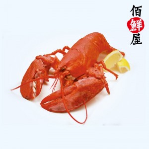 加拿大龙虾