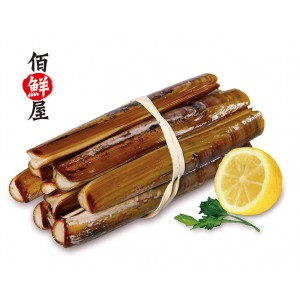 爱尔兰王蛏