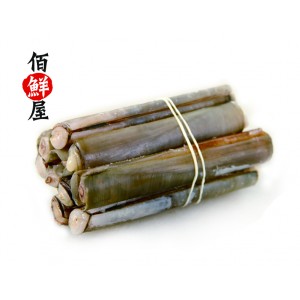 巴基斯坦竹蛏
