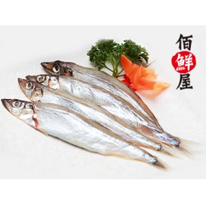 多春鱼